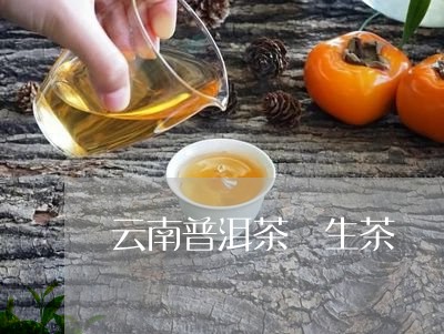 云南普洱茶 生茶/2023041218393